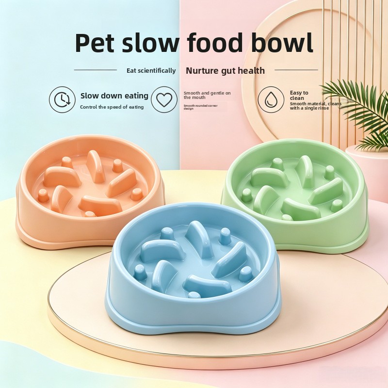 Royal Canin Food Medium - وعاء طعام للكلاب مضاد للانزلاق بسعة
