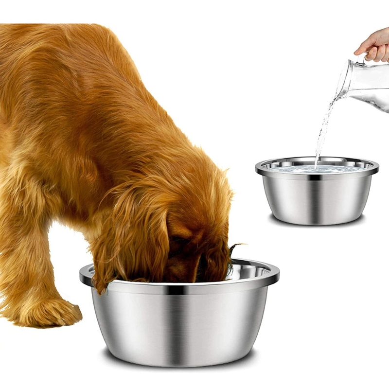Royal Canin Food Medium - الفولاذ المقاوم للصدأ مغذيات الكلب 20