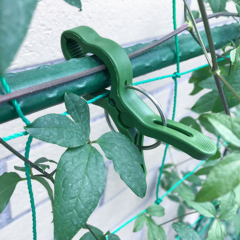 Vine Climbing Plastic - 60 قطعة من مشابك النباتات البلاستيكية