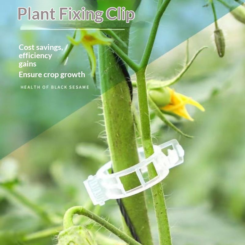 Vine Climbing Plastic - مشابك دعم النباتات البلاستيكية القابلة لإعادة