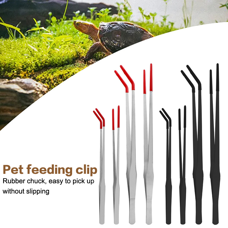 أدوات حوض السمك الخبراء: ملاقط - مراجعة Feeding Tong Stainless وسعره