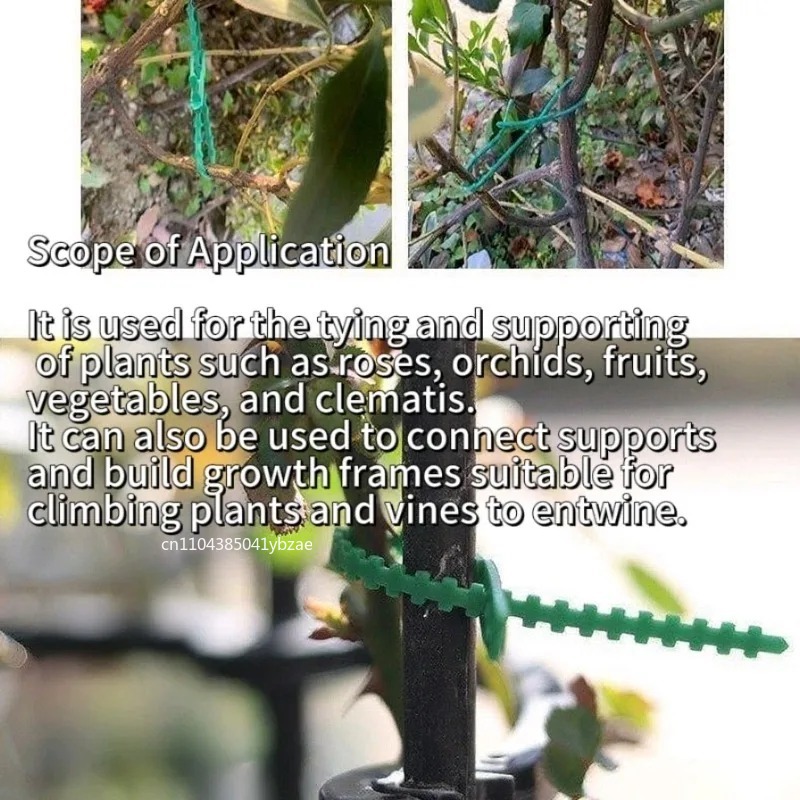 50-1000 قطعة ربطات كابلات نبات - مراجعة Vine Climbing Plastic وسعره