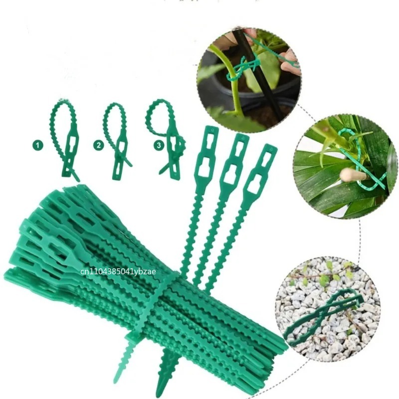 50-1000 قطعة ربطات كابلات نبات - مراجعة Vine Climbing Plastic وسعره