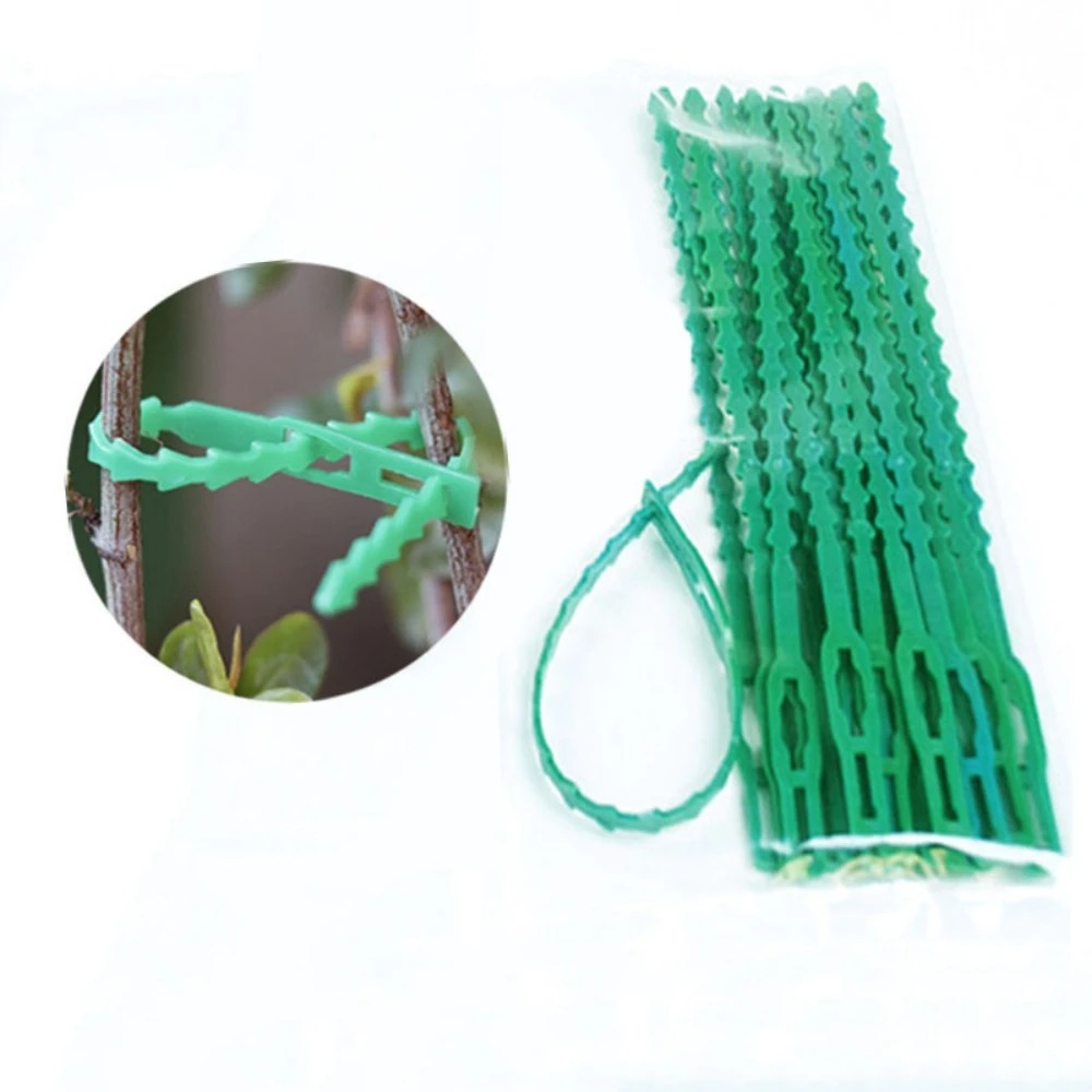50 قطعة من روابط النباتات البل - مراجعة Vine Climbing Plastic وسعره
