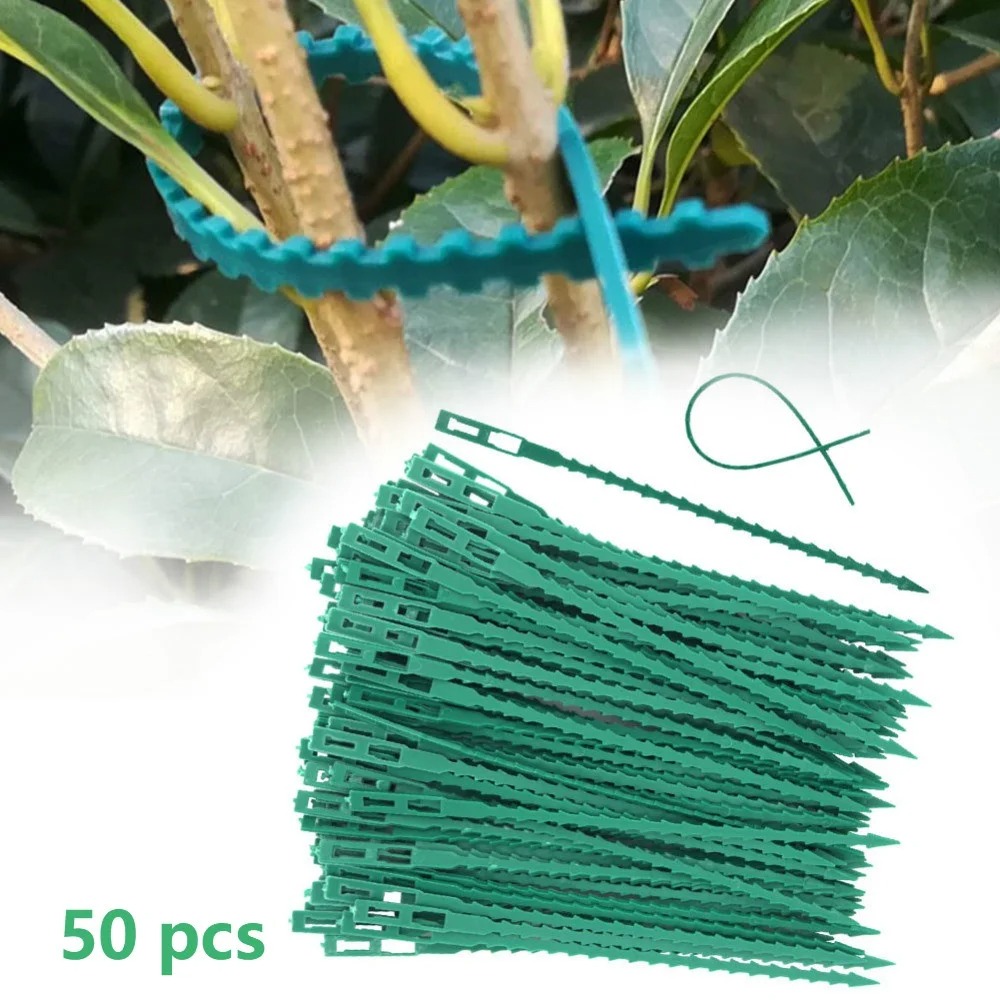 50 قطعة من روابط النباتات البل - مراجعة Vine Climbing Plastic وسعره