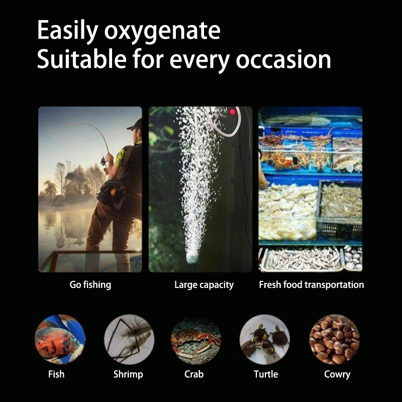 طقم مضخة هواء حوض السمك الصغير - مراجعة Aquael Filter Fzn وسعره