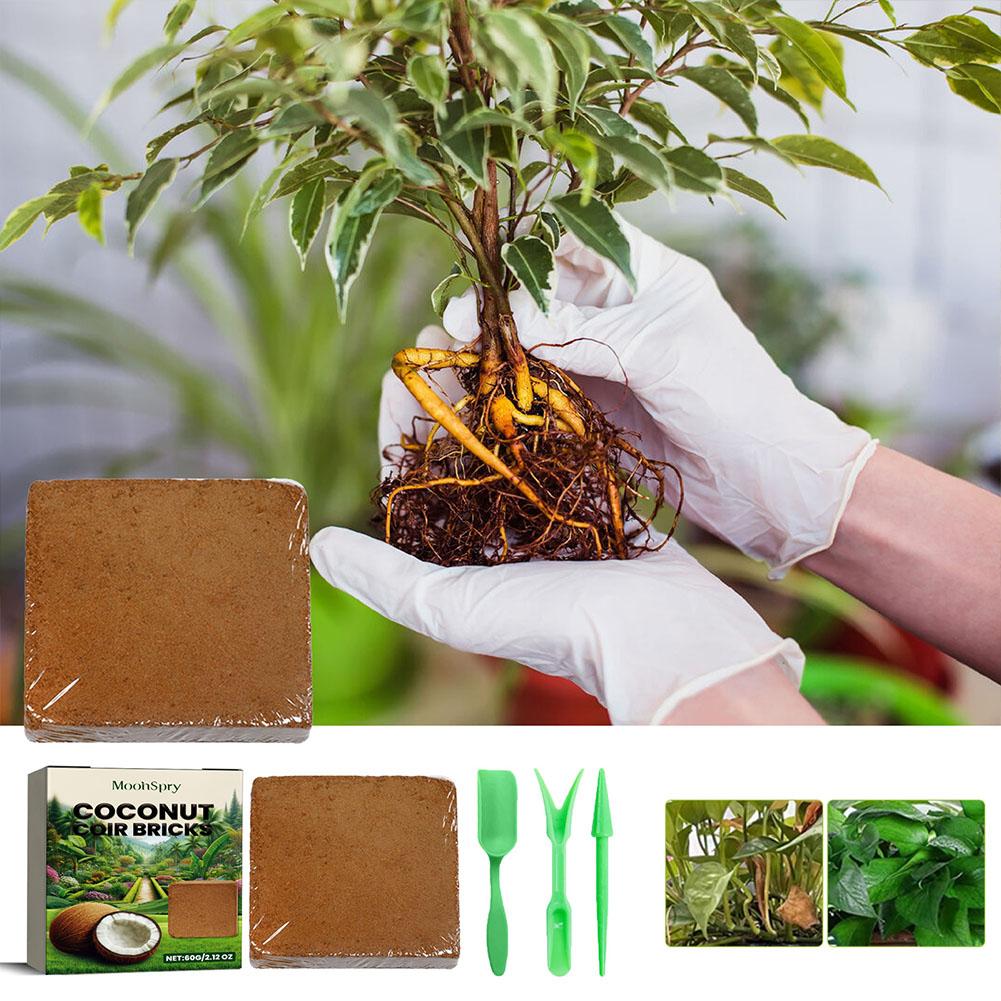 طوب ألياف جوز الهند - تربة عضو - مراجعة Substrate Coconut Fiber وسعره