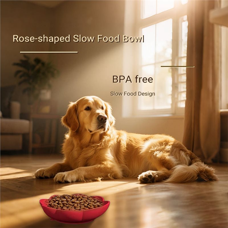 وعاء طعام سيليكون للحيوانات ال - مراجعة Royal Canin Food Medium وسعره