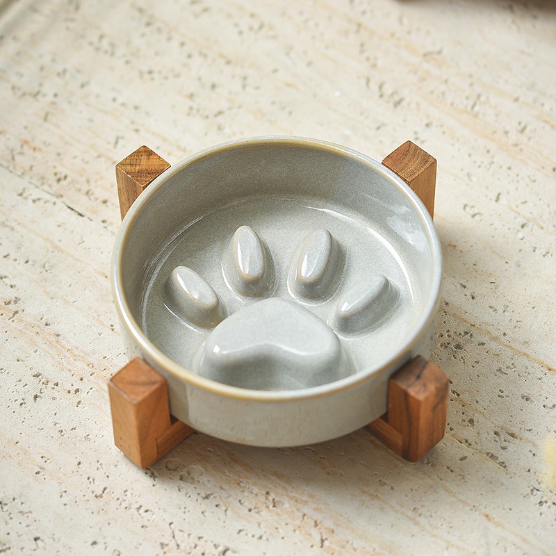 وعاء قطط من السيراميك على الطر - مراجعة Royal Canin Food Medium وسعره