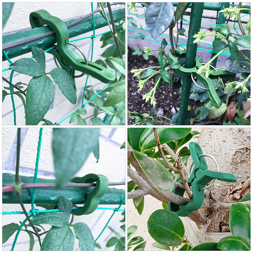 60 قطعة من مشابك النباتات البل - مراجعة Vine Climbing Plastic وسعره