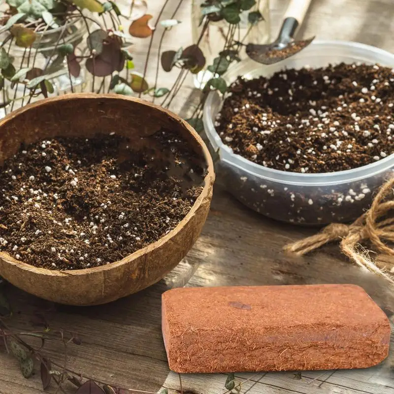 الزواحف جوز الهند التربة ألياف - مراجعة Substrate Coconut Fiber وسعره