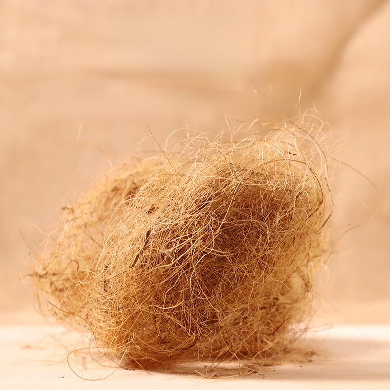 100 جرام فينش ألياف جوز الهند  - مراجعة Substrate Coconut Fiber وسعره