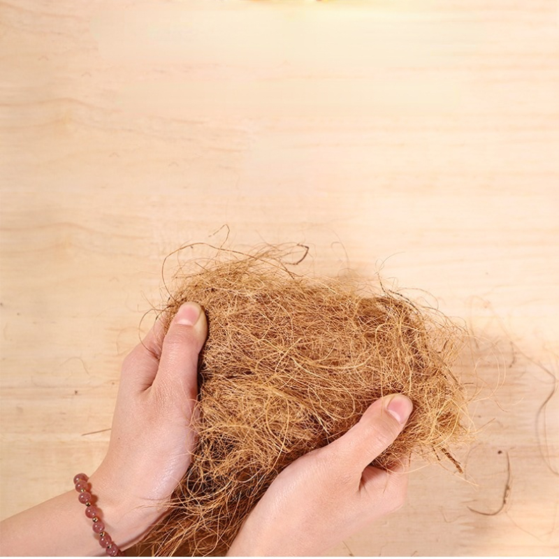 100 جرام فينش ألياف جوز الهند  - مراجعة Substrate Coconut Fiber وسعره