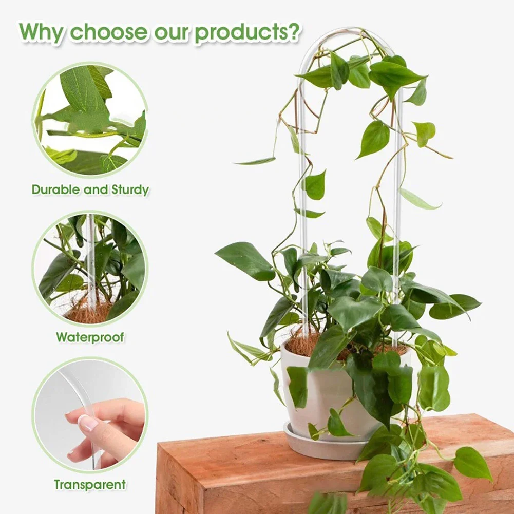 إطار دعم من الأكريليك على شكل  - مراجعة Vine Climbing Plastic وسعره