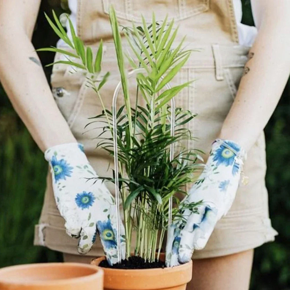 إطار دعم من الأكريليك على شكل  - مراجعة Vine Climbing Plastic وسعره