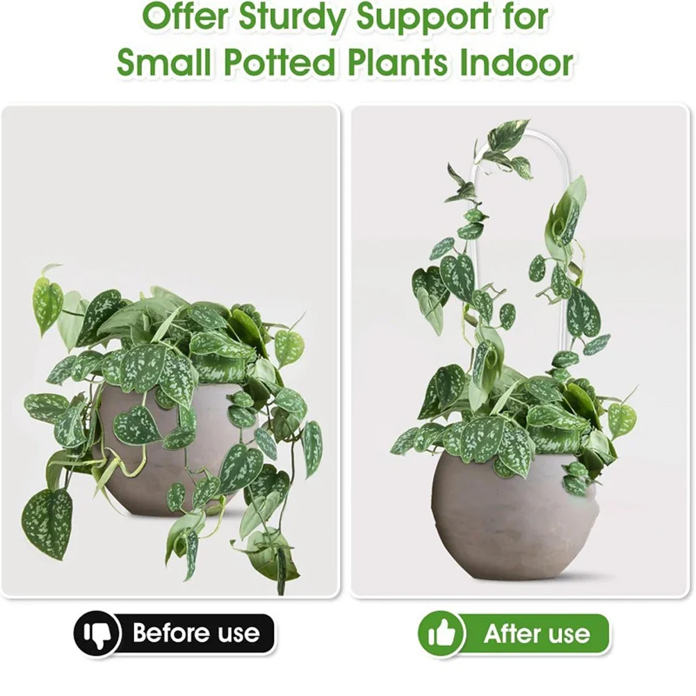 إطار دعم من الأكريليك على شكل  - مراجعة Vine Climbing Plastic وسعره