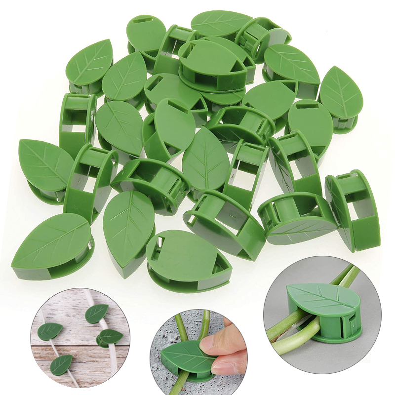 نبات غير مرئي تسلق تركيبات الح - مراجعة Vine Climbing Plastic وسعره