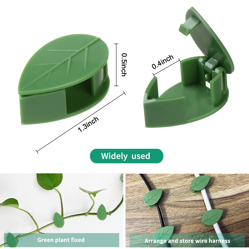نبات غير مرئي تسلق تركيبات الح - مراجعة Vine Climbing Plastic وسعره