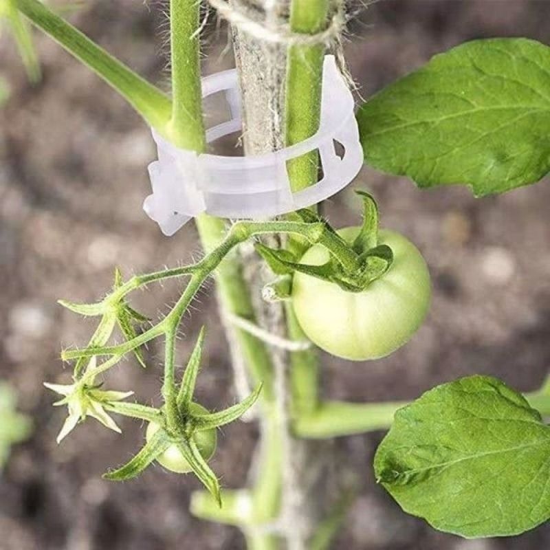 مشابك دعم النباتات البلاستيكية - مراجعة Vine Climbing Plastic وسعره