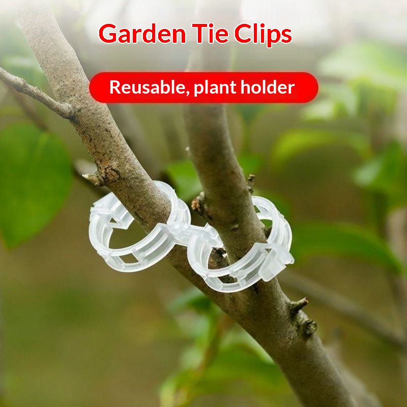 مشابك دعم النباتات البلاستيكية - مراجعة Vine Climbing Plastic وسعره