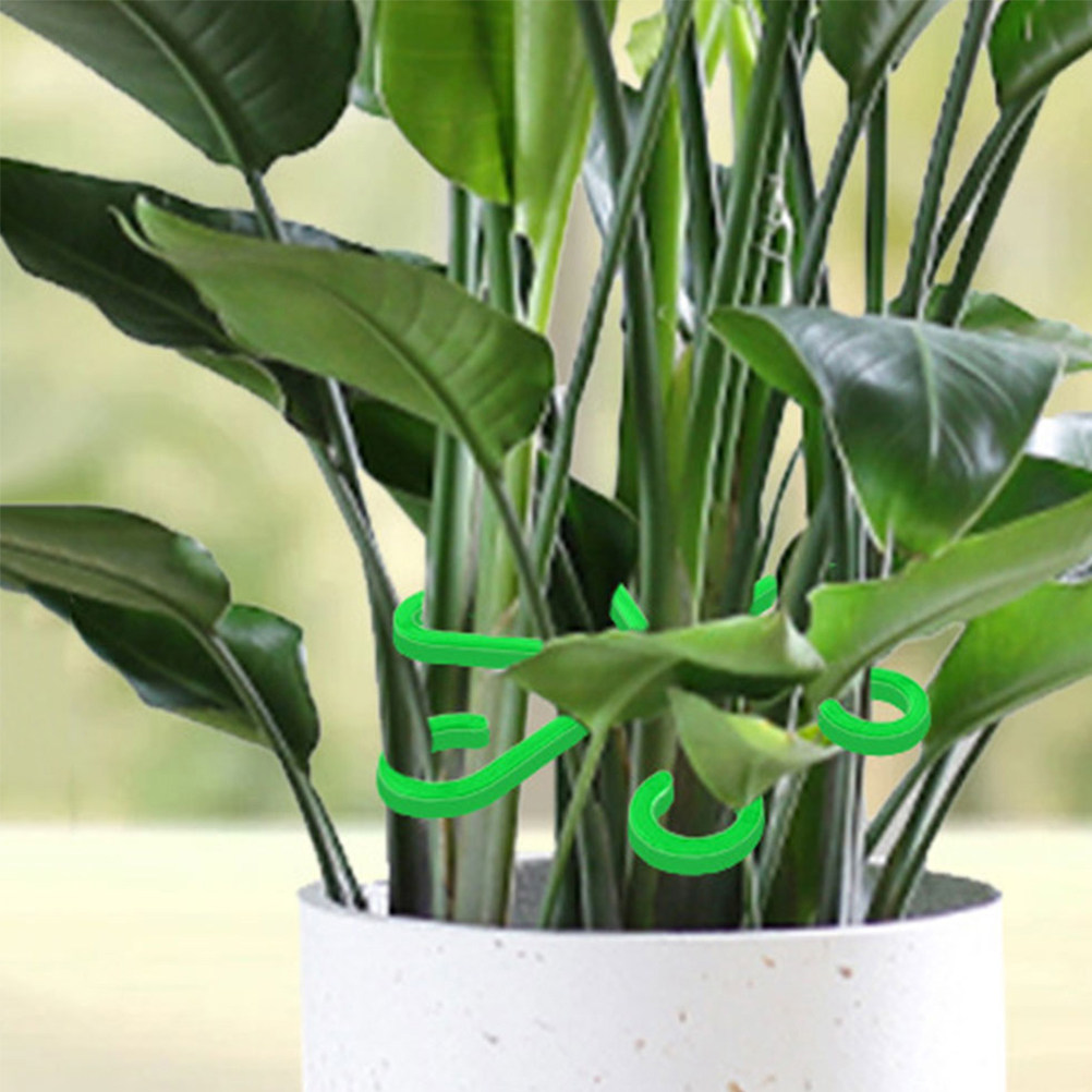 12 قطعة من مشابك دعم النباتات  - مراجعة Vine Climbing Plastic وسعره