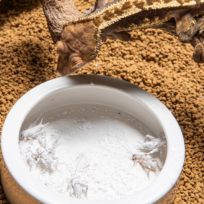 مزيج SuperRep للزواحف والكالسي - مراجعة Vitamin D3 Reptile وسعره