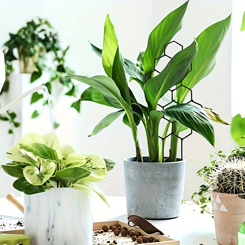 دعامة نباتات بتصميم خلية النحل - مراجعة Vine Climbing Plastic وسعره