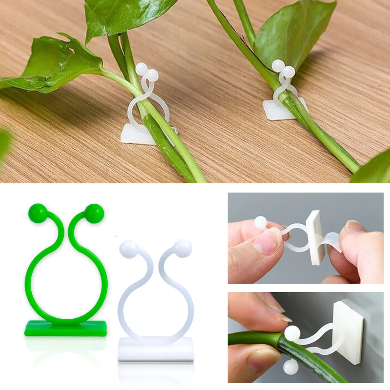 نبات تسلق الجدار ذاتية اللصق م - مراجعة Vine Climbing Plastic وسعره